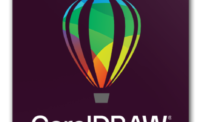 Corporate CorelDRAW Graphics Suite 2024 License Key